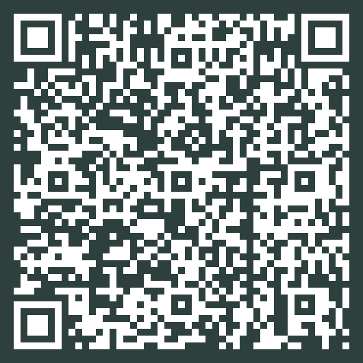 wasilij.de - Tool - Statischer QR-Code Generator